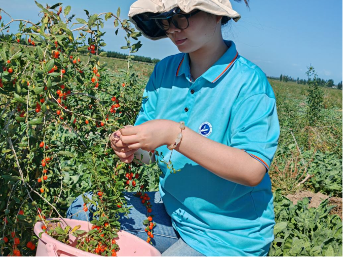 06ACCE9DE807E84F4320936B89D_563CCC3F_1508AD