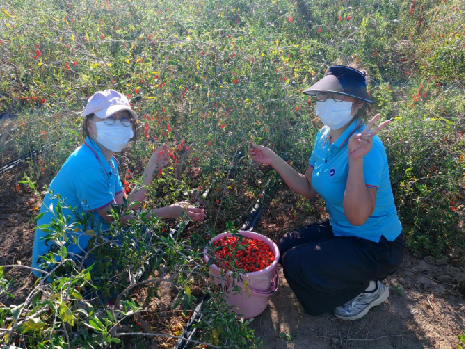 EAA37A5485D98E9BA4AC57FAAF3_8C996D5D_149217