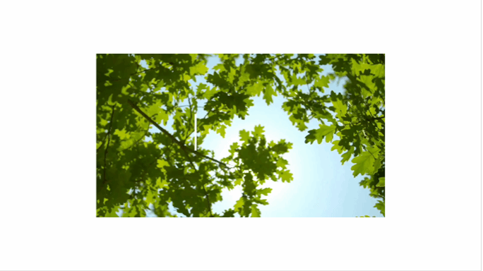 122D49E5B8DF49D3A83E164B418_DE3FE60B_10BCE