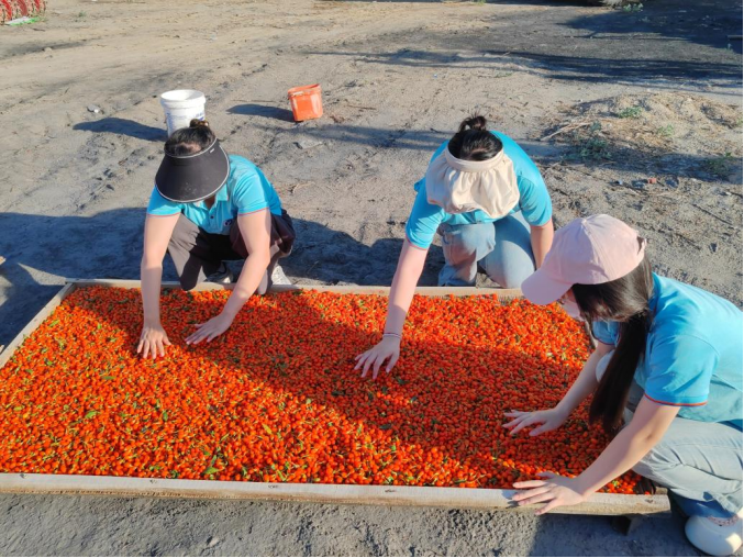 86407C473A79F7E3DCF08C80D5B_DB9BC021_1508AD