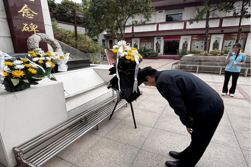 BA08DDEF8FA75DC03CB336ED493_3BDB55AB_1C11CD