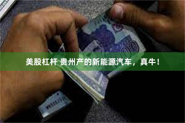 美股杠杆 贵州产的新能源汽车，真牛！