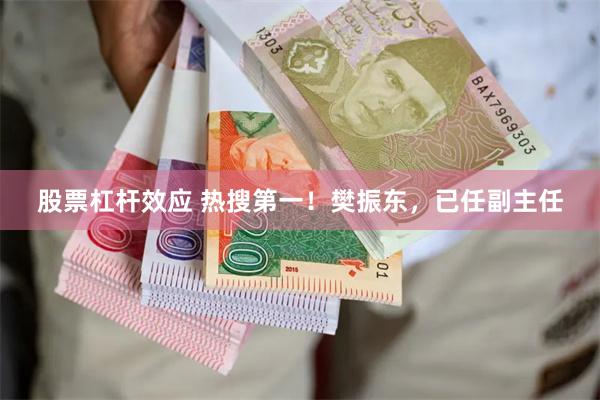 股票杠杆效应 热搜第一！樊振东，已任副主任
