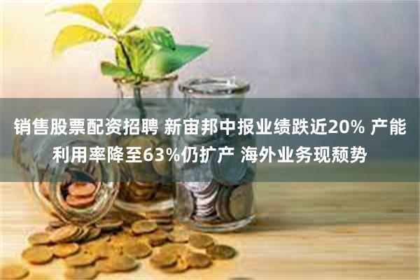 销售股票配资招聘 新宙邦中报业绩跌近20% 产能利用率降至63%仍扩产 海外业务现颓势