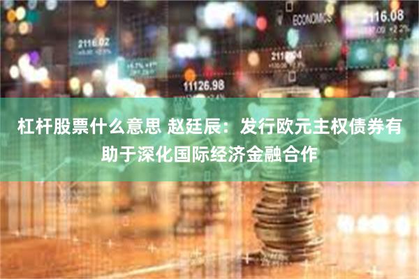 杠杆股票什么意思 赵廷辰：发行欧元主权债券有助于深化国际经济金融合作