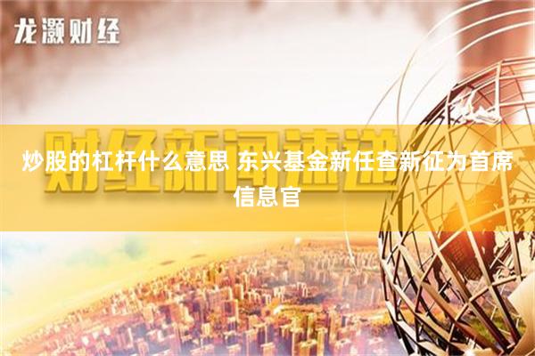 炒股的杠杆什么意思 东兴基金新任查新征为首席信息官