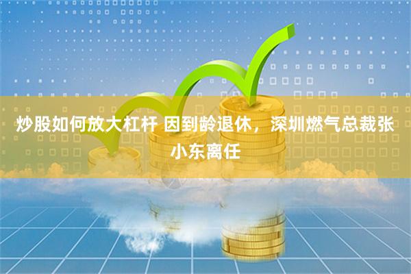 炒股如何放大杠杆 因到龄退休，深圳燃气总裁张小东离任