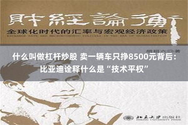 什么叫做杠杆炒股 卖一辆车只挣8500元背后：比亚迪诠释什么是“技术平权”