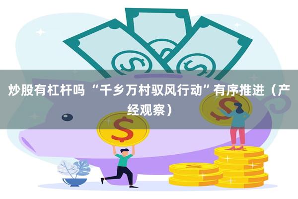 炒股有杠杆吗 “千乡万村驭风行动”有序推进（产经观察）