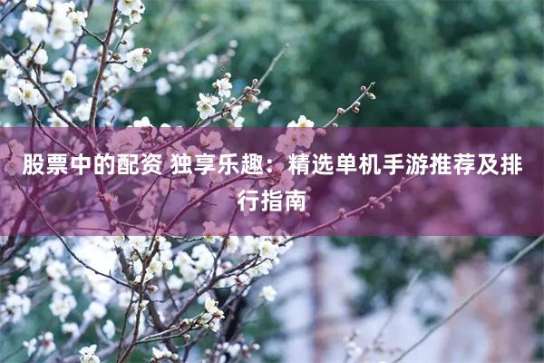 股票中的配资 独享乐趣：精选单机手游推荐及排行指南