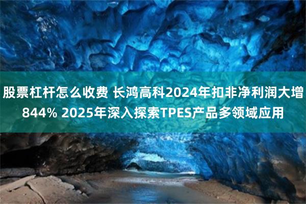 股票杠杆怎么收费 长鸿高科2024年扣非净利润大增844% 2025年深入探索TPES产品多领域应用