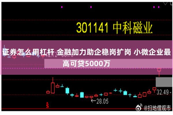 证券怎么用杠杆 金融加力助企稳岗扩岗 小微企业最高可贷5000万