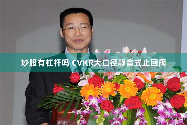 炒股有杠杆吗 CVKR大口径静音式止回阀