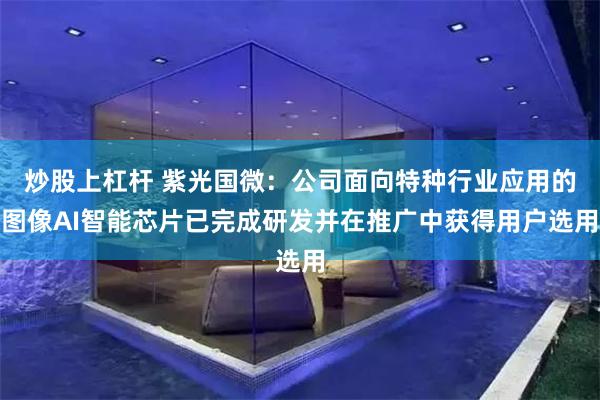 炒股上杠杆 紫光国微：公司面向特种行业应用的图像AI智能芯片已完成研发并在推广中获得用户选用
