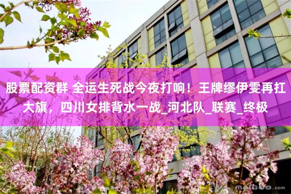股票配资群 全运生死战今夜打响！王牌缪伊雯再扛大旗，四川女排背水一战_河北队_联赛_终极