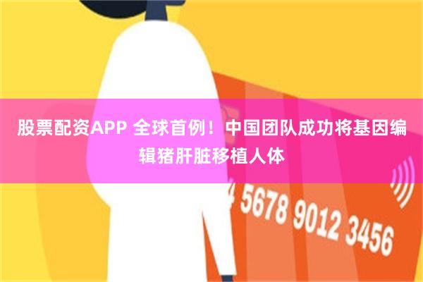 股票配资APP 全球首例！中国团队成功将基因编辑猪肝脏移植人体