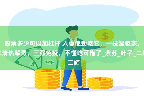 股票多少可以加杠杆 入夏使劲吃它，一祛湿驱寒，二清热解毒，三强免疫，不懂吃可惜了_紫苏_叶子_二婶