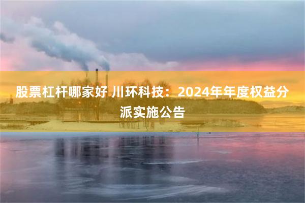 股票杠杆哪家好 川环科技：2024年年度权益分派实施公告