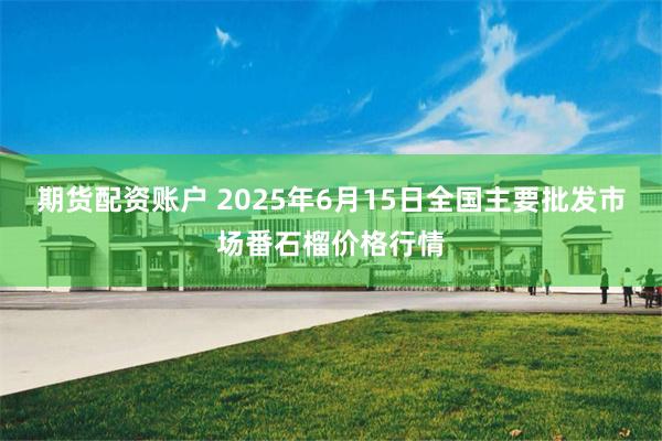期货配资账户 2025年6月15日全国主要批发市场番石榴价格行情