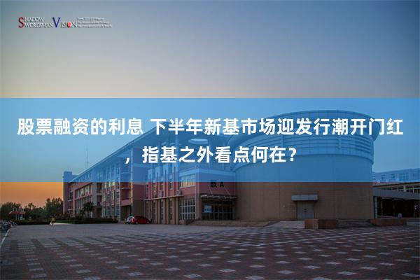 股票融资的利息 下半年新基市场迎发行潮开门红，指基之外看点何在？