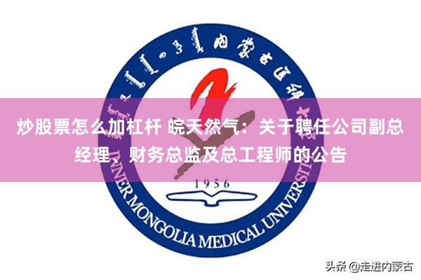 炒股票怎么加杠杆 皖天然气：关于聘任公司副总经理、财务总监及总工程师的公告