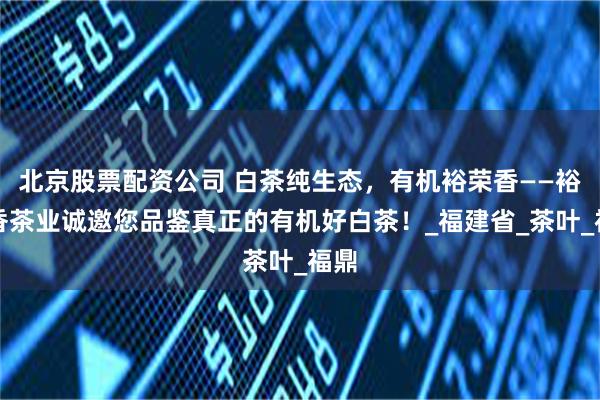 北京股票配资公司 白茶纯生态，有机裕荣香——裕荣香茶业诚邀您品鉴真正的有机好白茶！_福建省_茶叶_福鼎