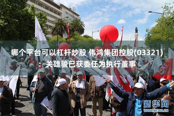 哪个平台可以杠杆炒股 伟鸿集团控股(03321)：关雄骏已获委任为执行董事