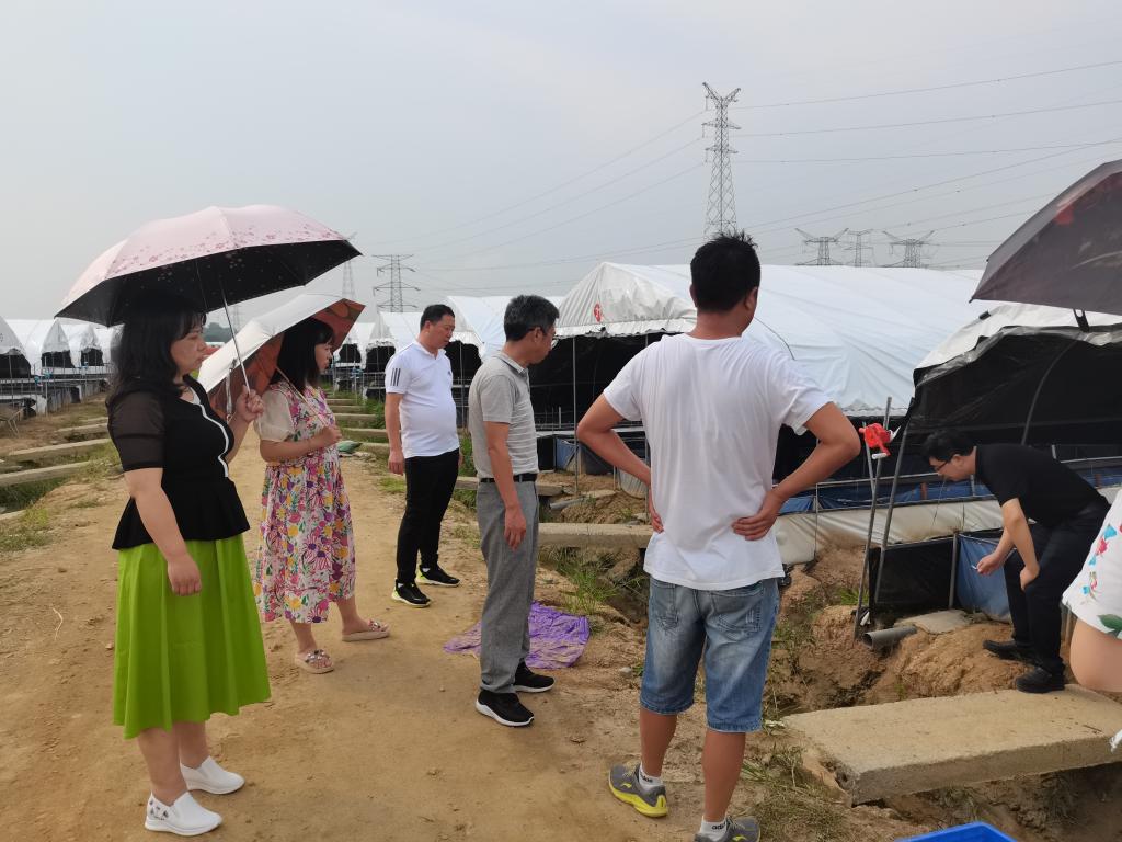 83A1A8F6F613294238BB3A3E4C2_A0FEFD2C_1925E